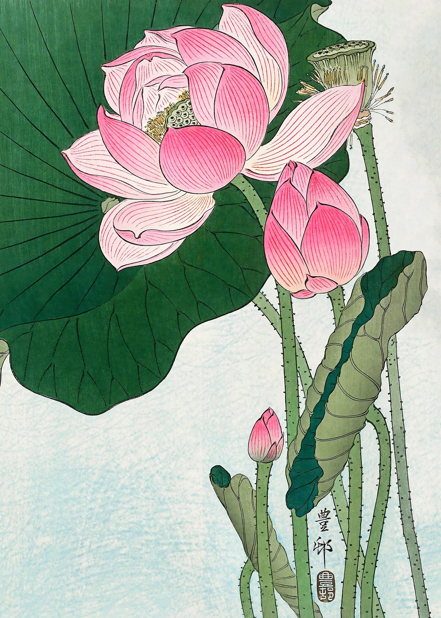 Blooming Lotus - Image 2