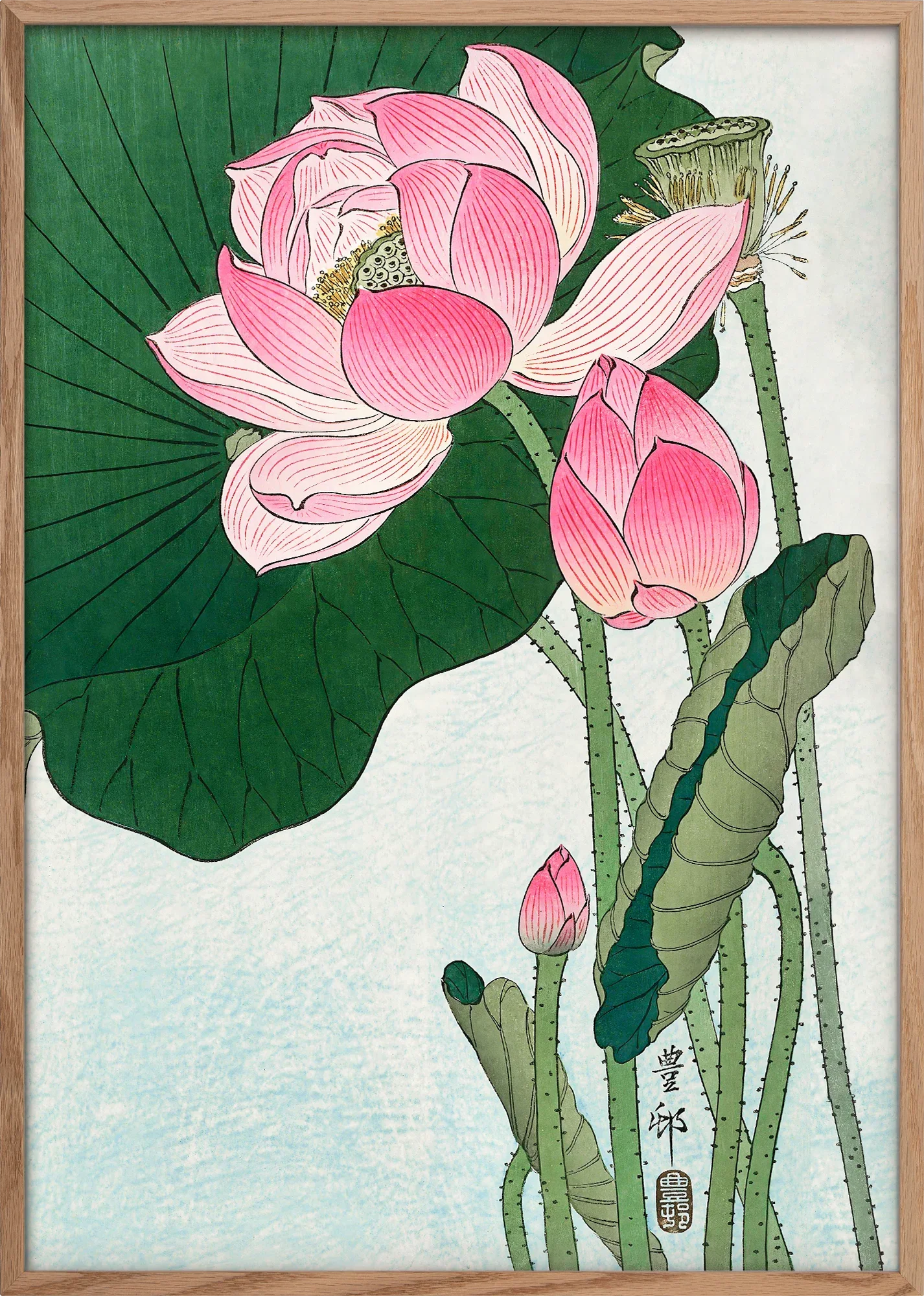 Blooming Lotus - Image 3