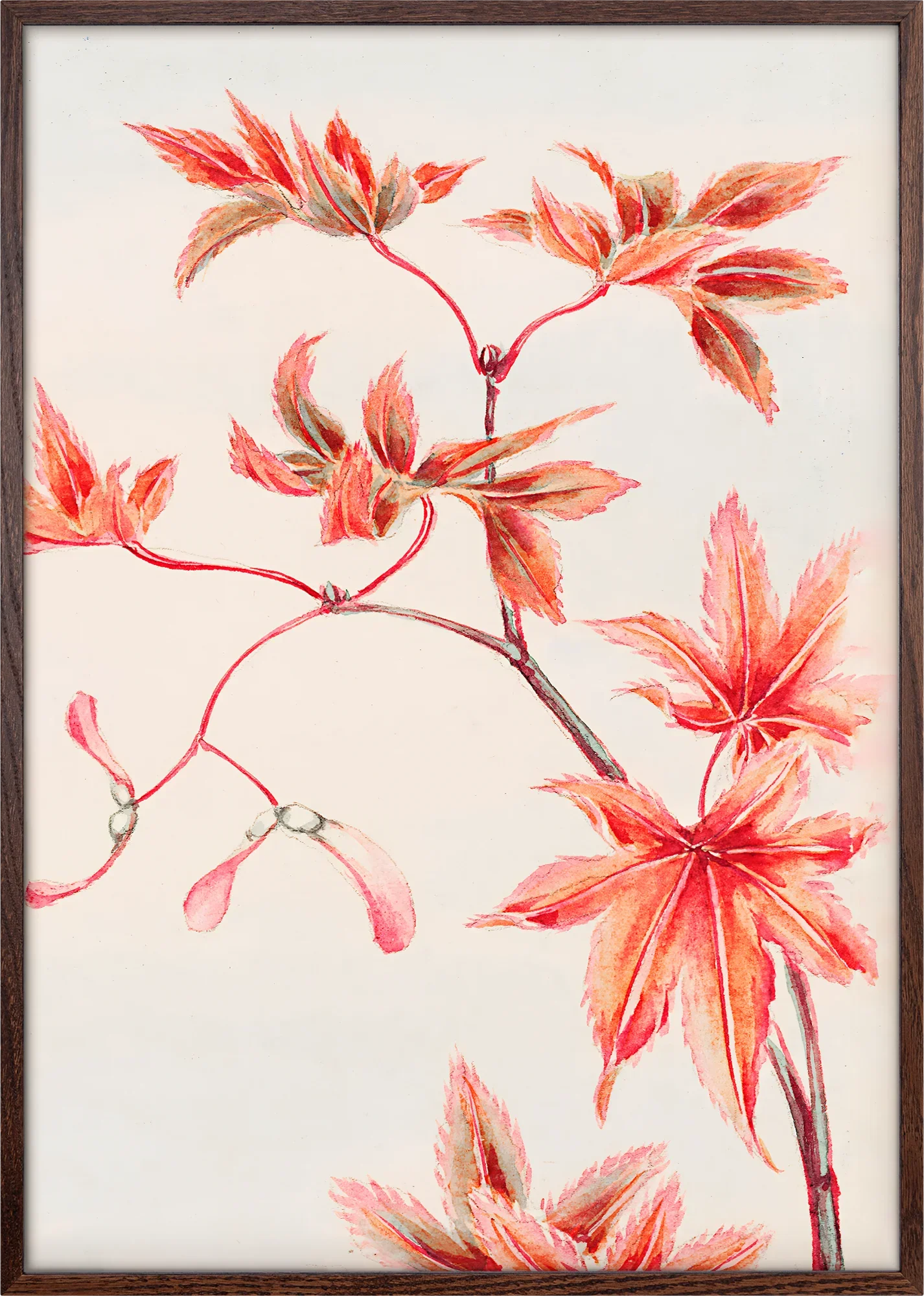 Branch Of Momiji - Image 3