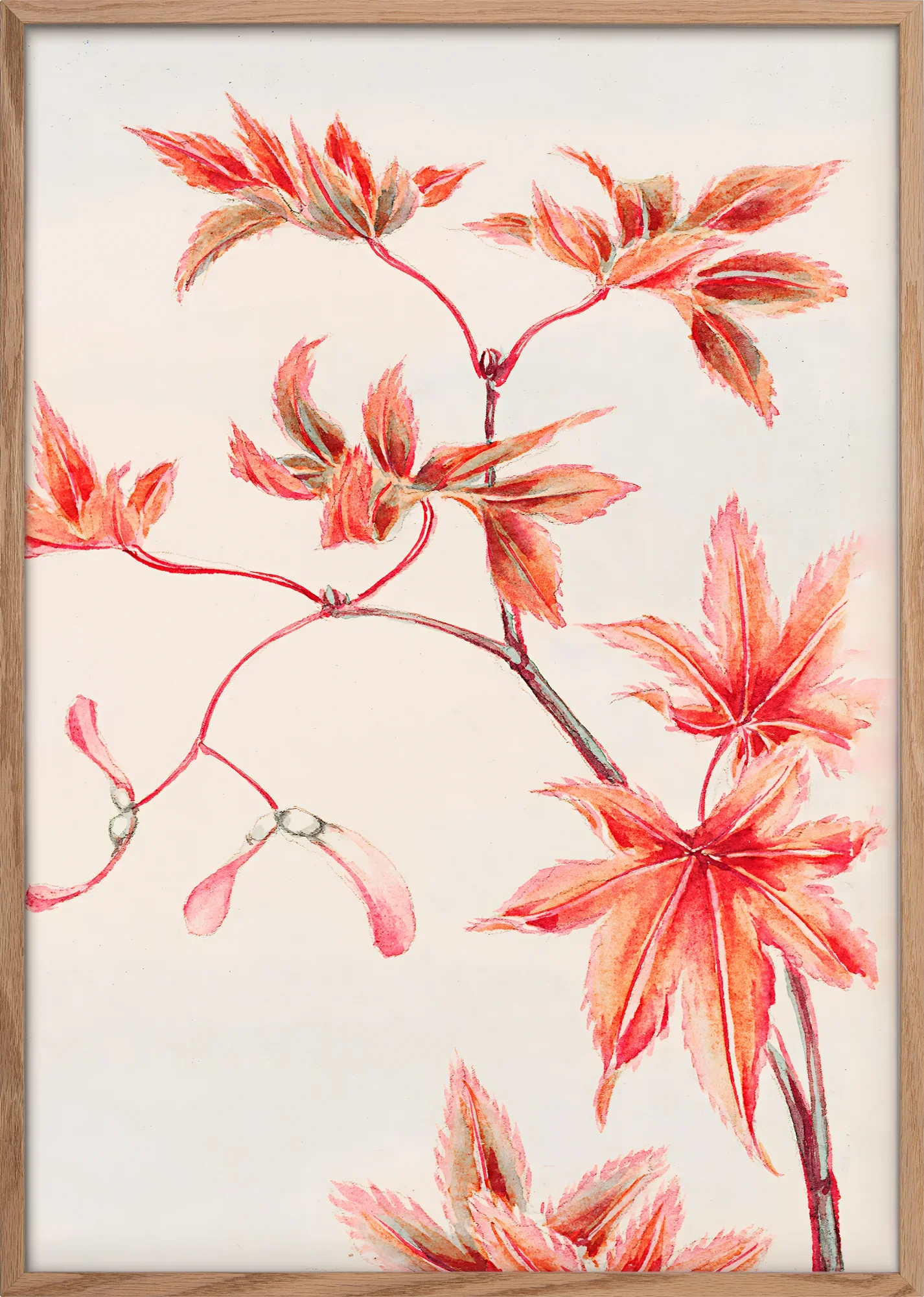 Branch Of Momiji - Image 4