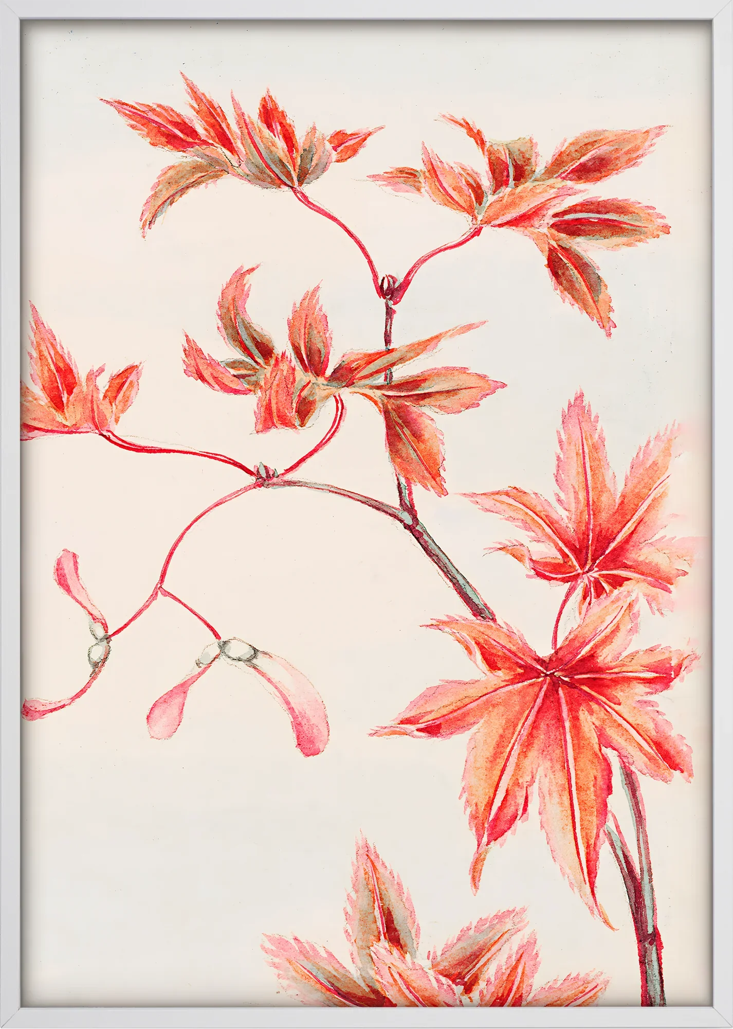 Branch Of Momiji - Image 5