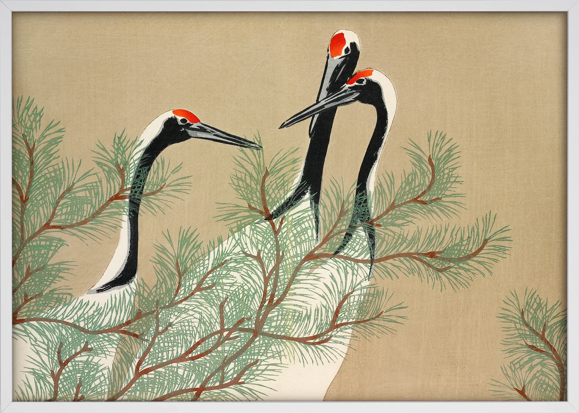 Cranes from Momoyogusa - Image 5