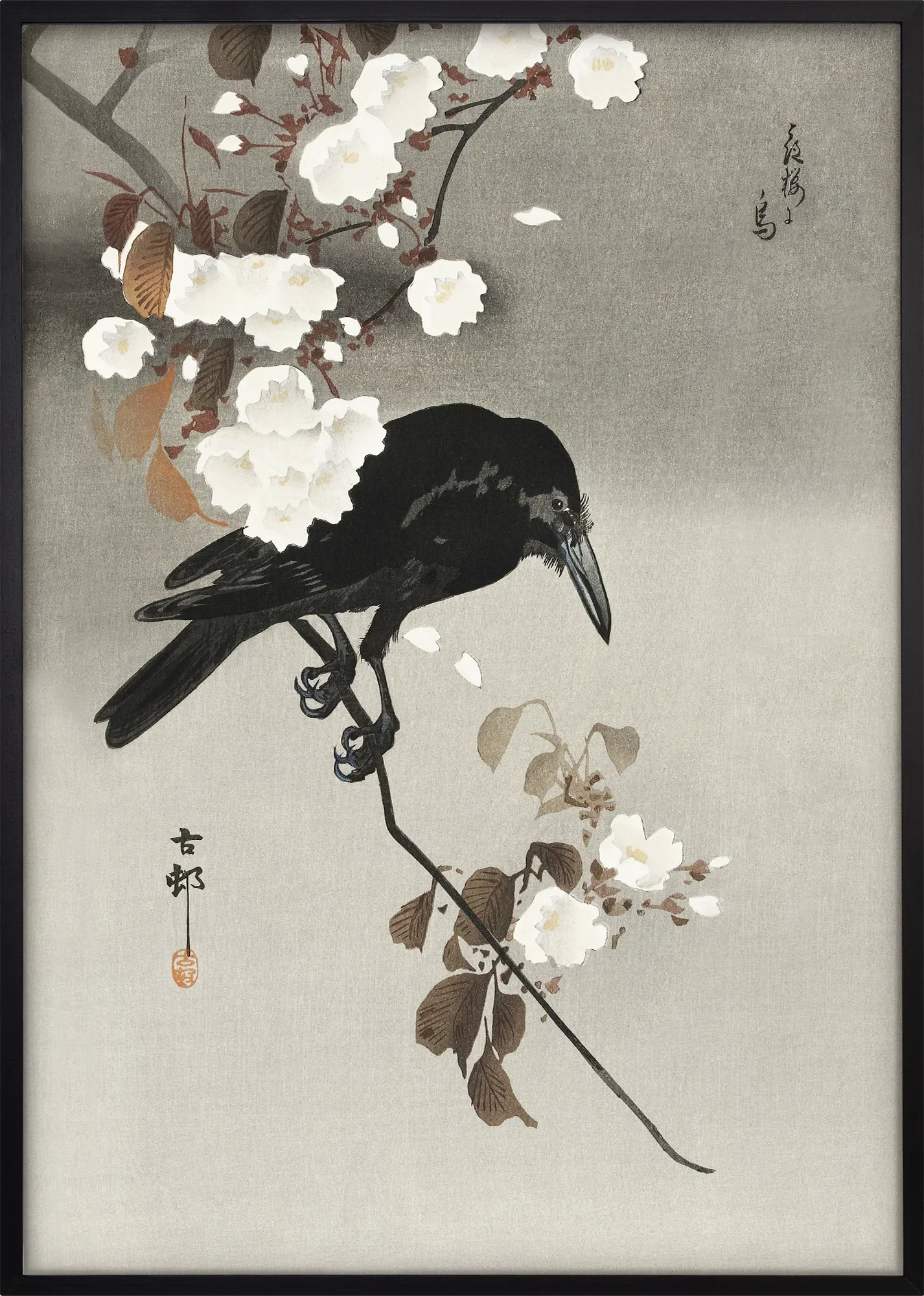 Crow and Cherry Blossom