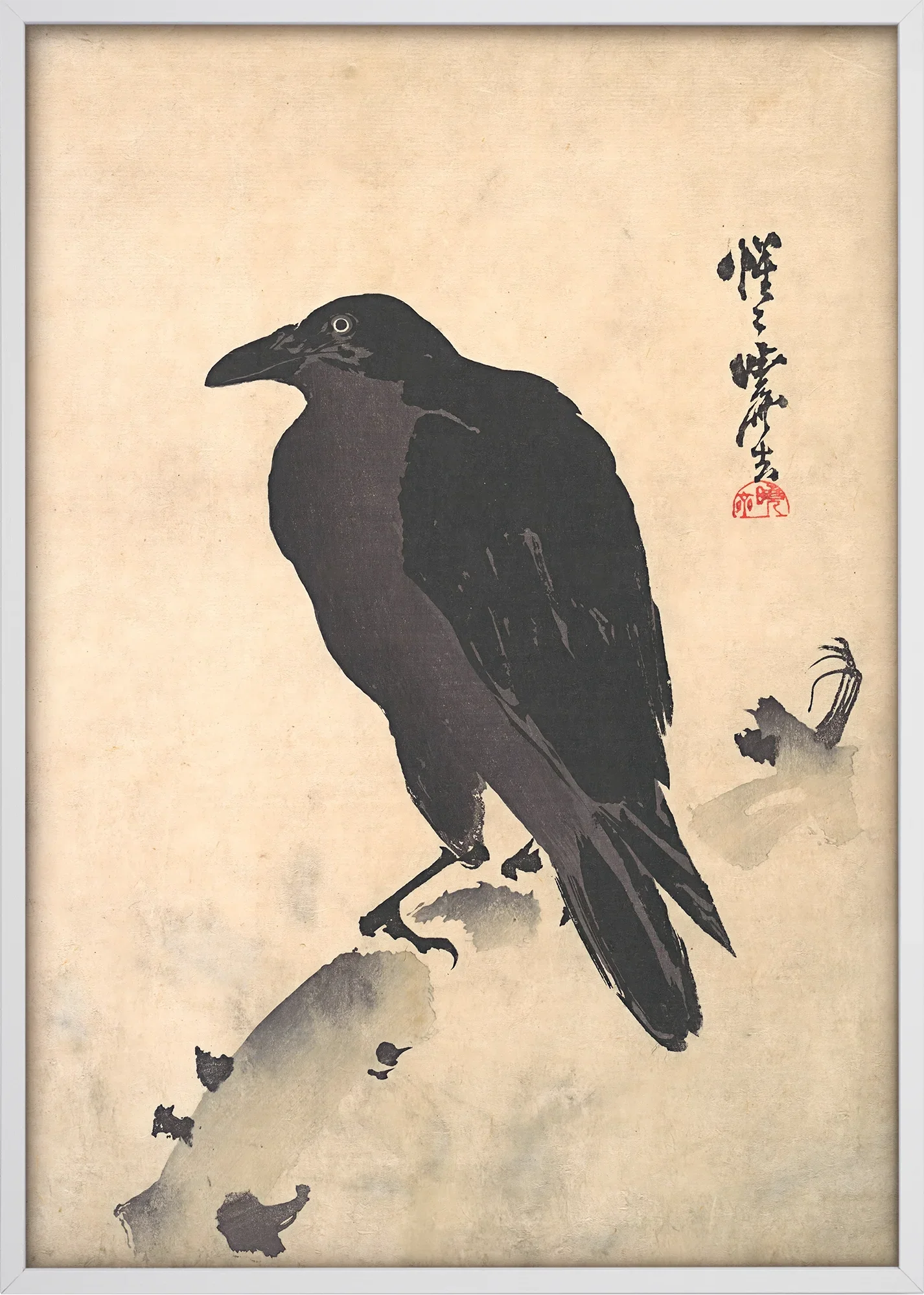Crow Resting on Wood Trunk - Image 5