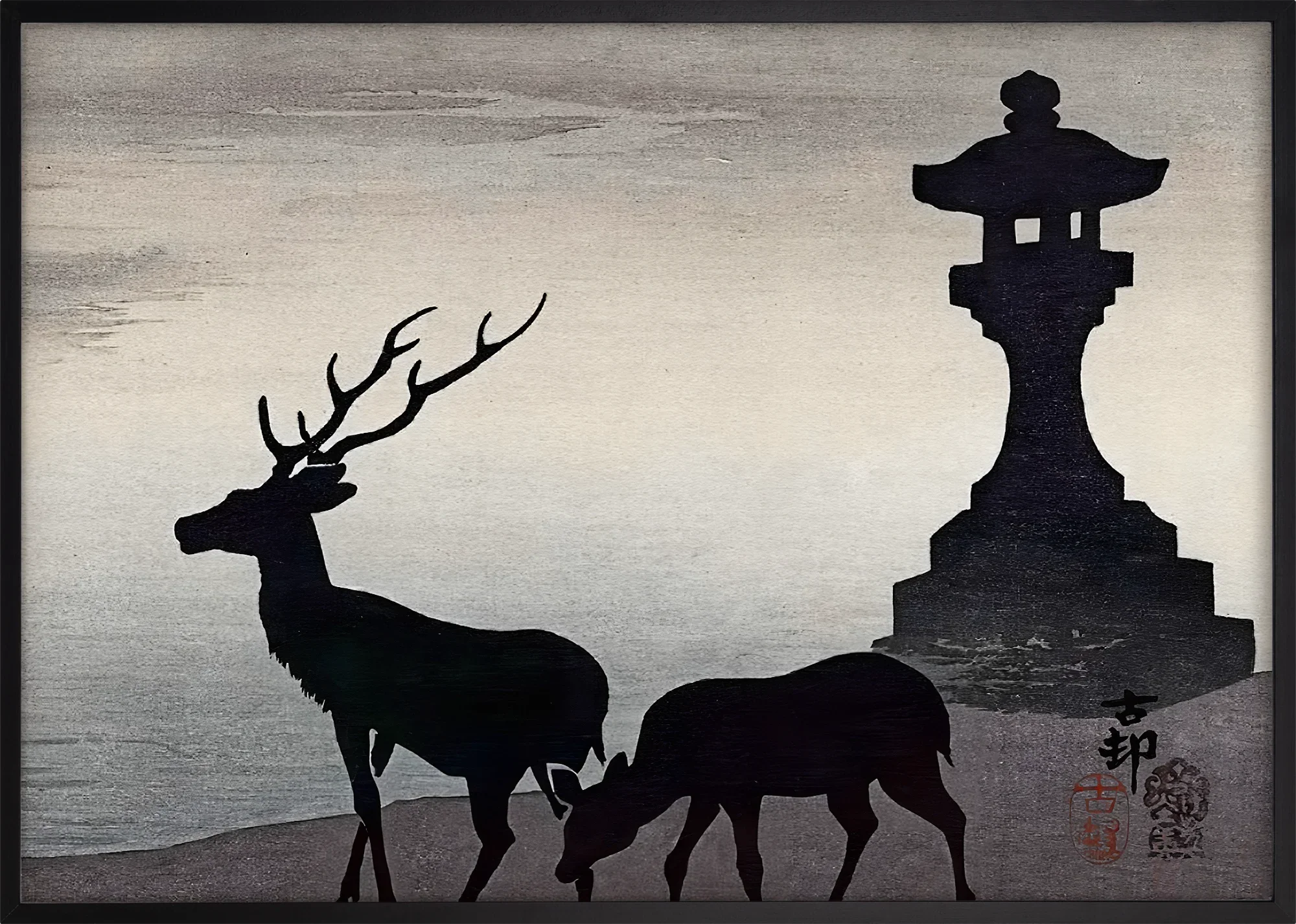 Deer By Night