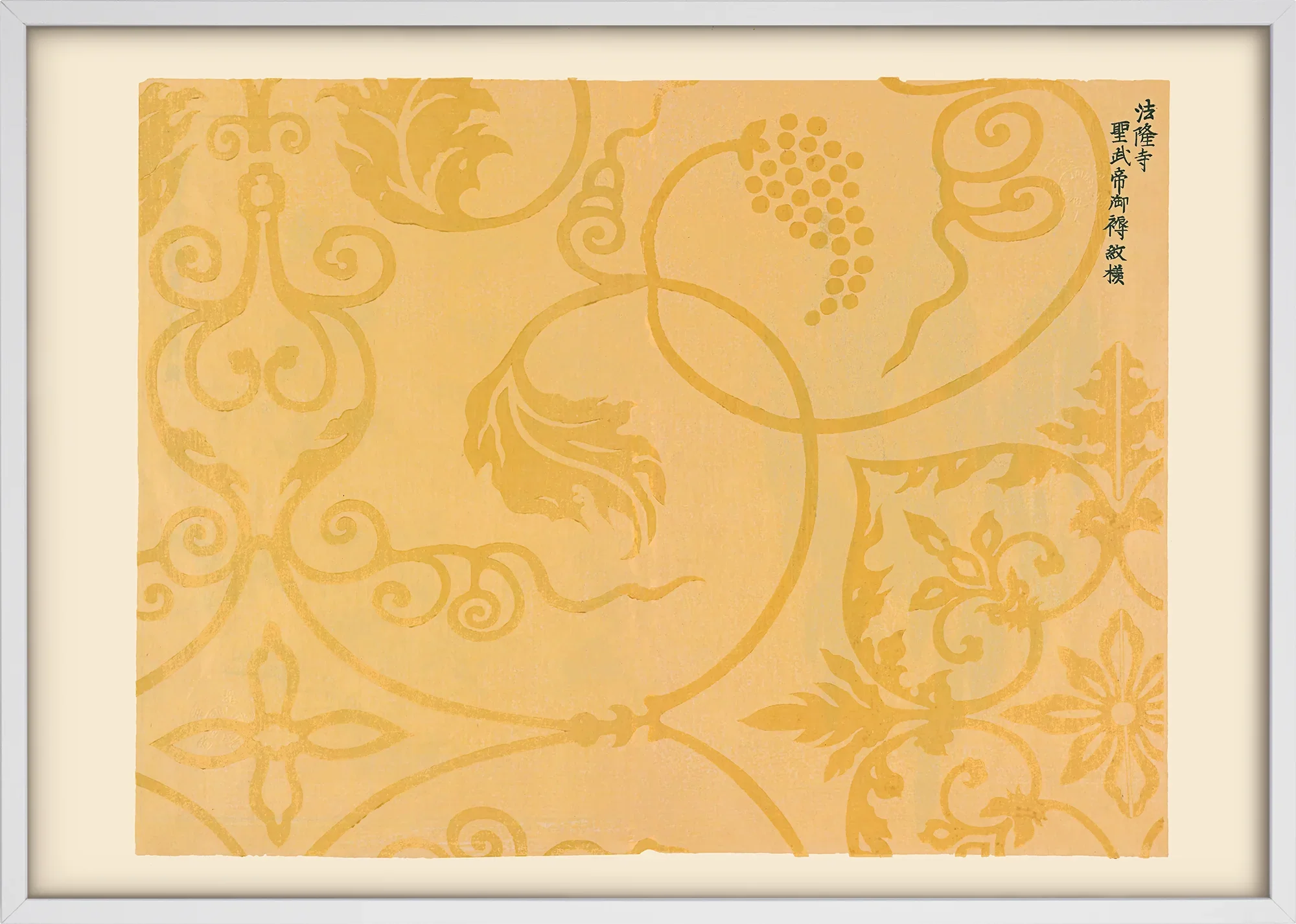 Grapes - Image 5