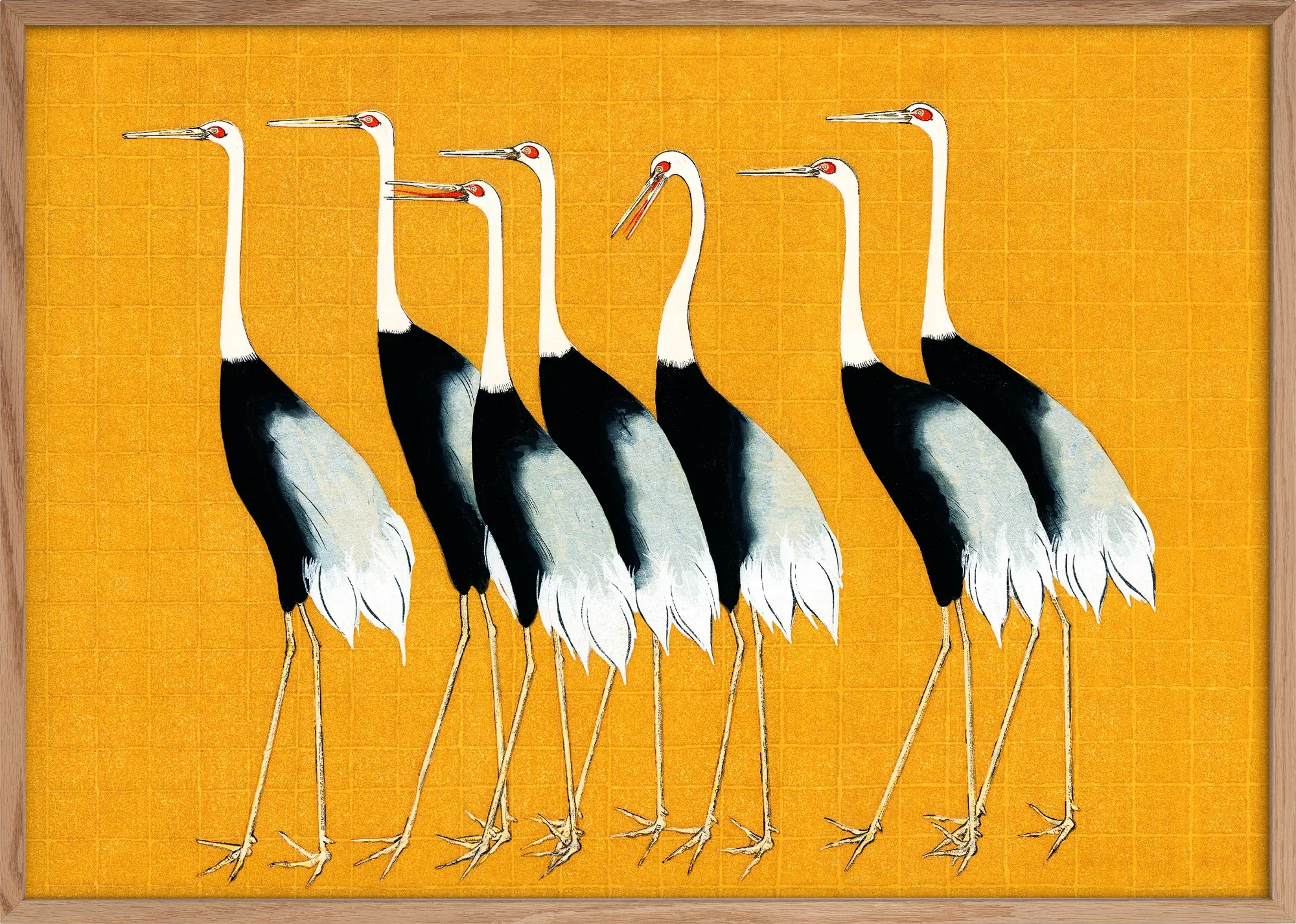 Japanese Red Crown Cranes - Image 3