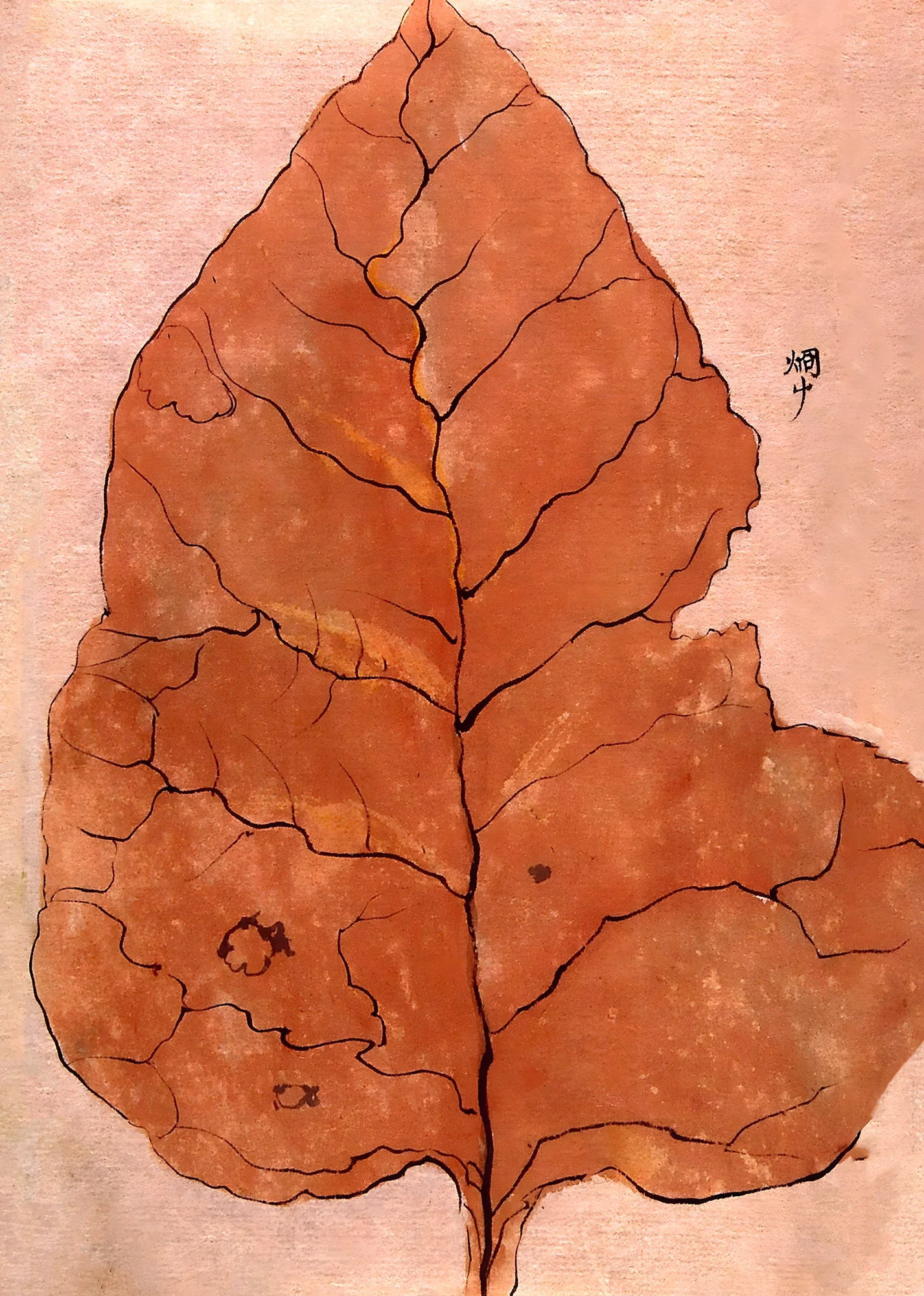 Large Fall Leaf - Image 2