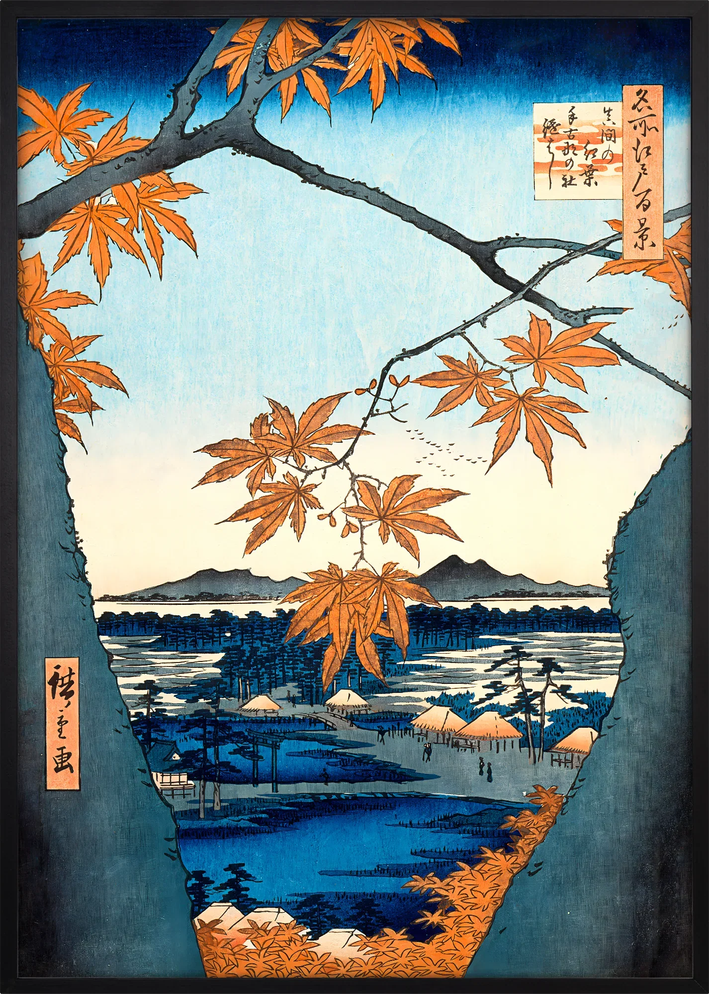 Maple Trees at Mama