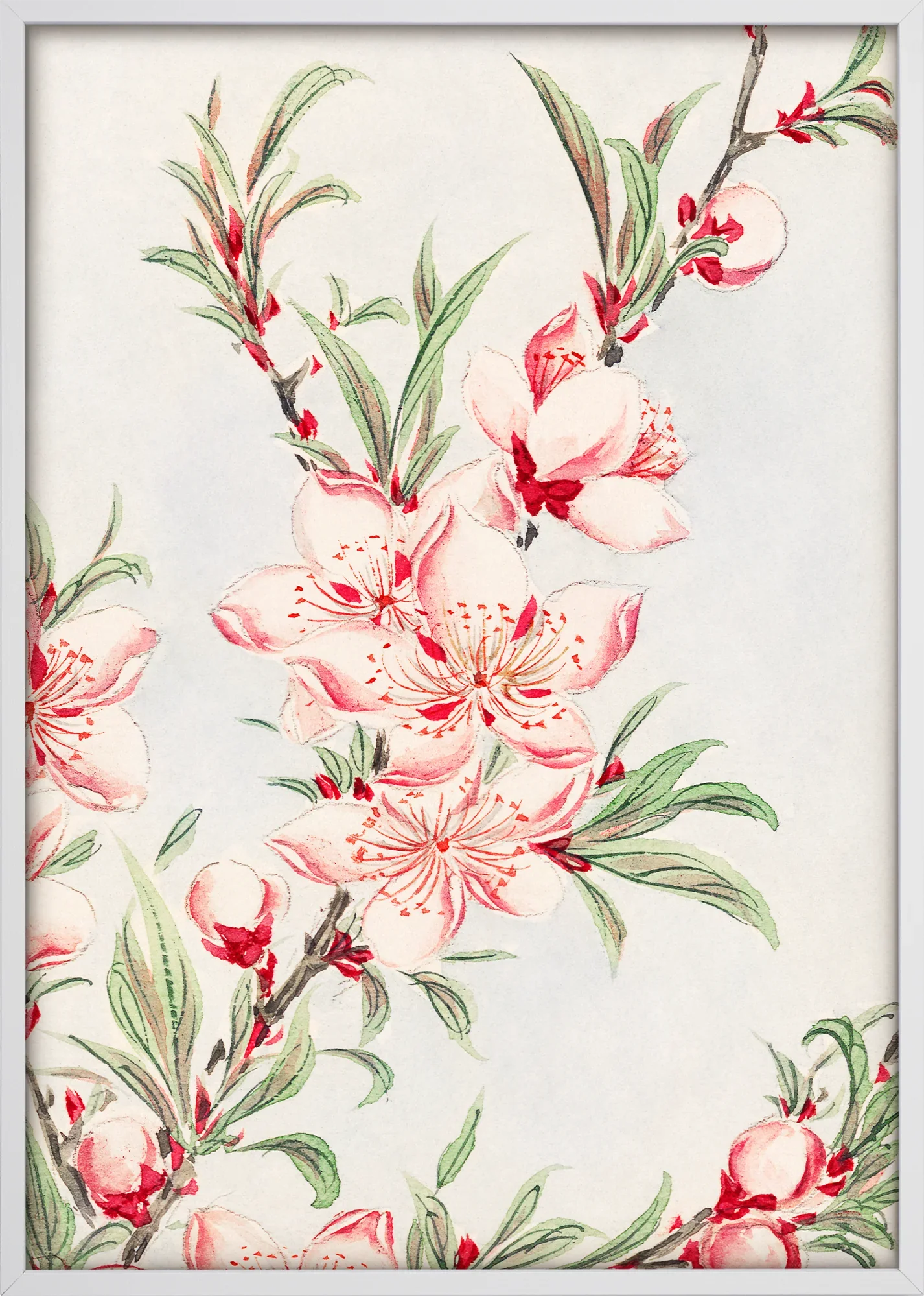 Peach Tree Branch - Image 5