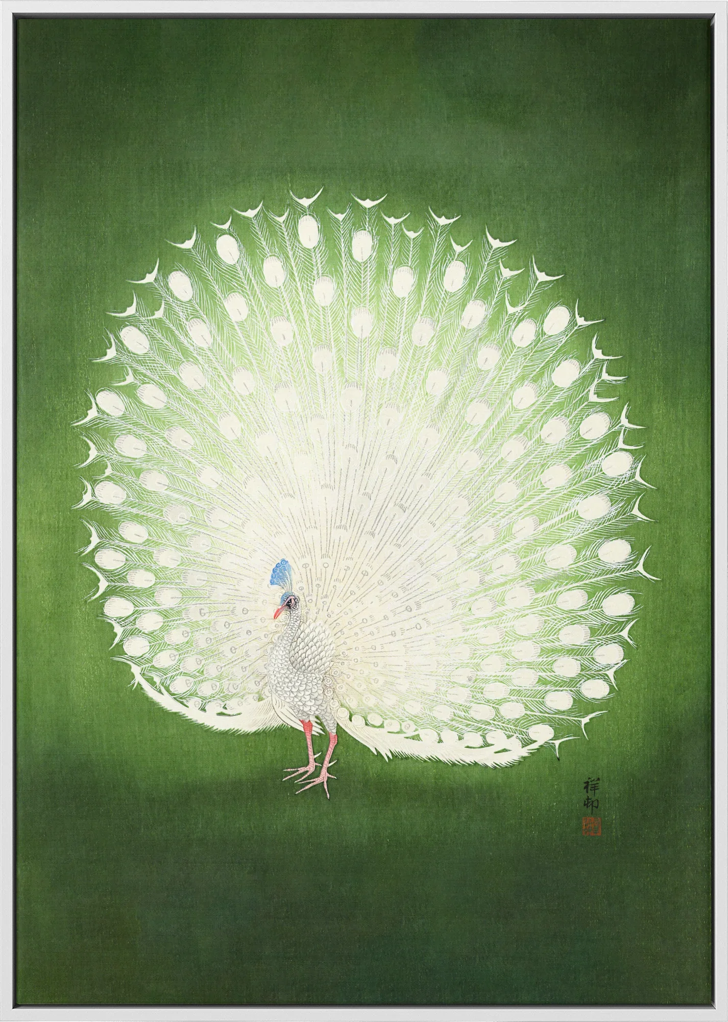 Peacock - Canvas - Image 6