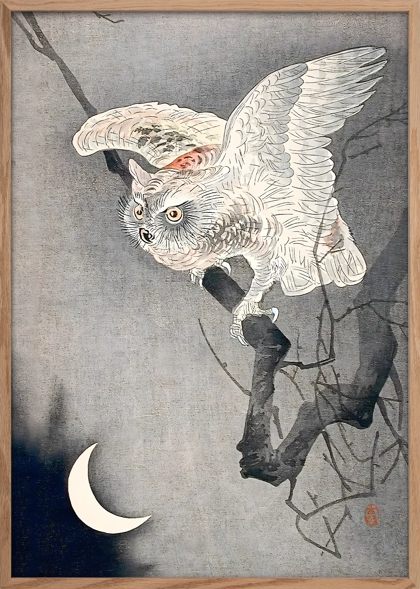 Scops Owl in Moonlight - Image 4