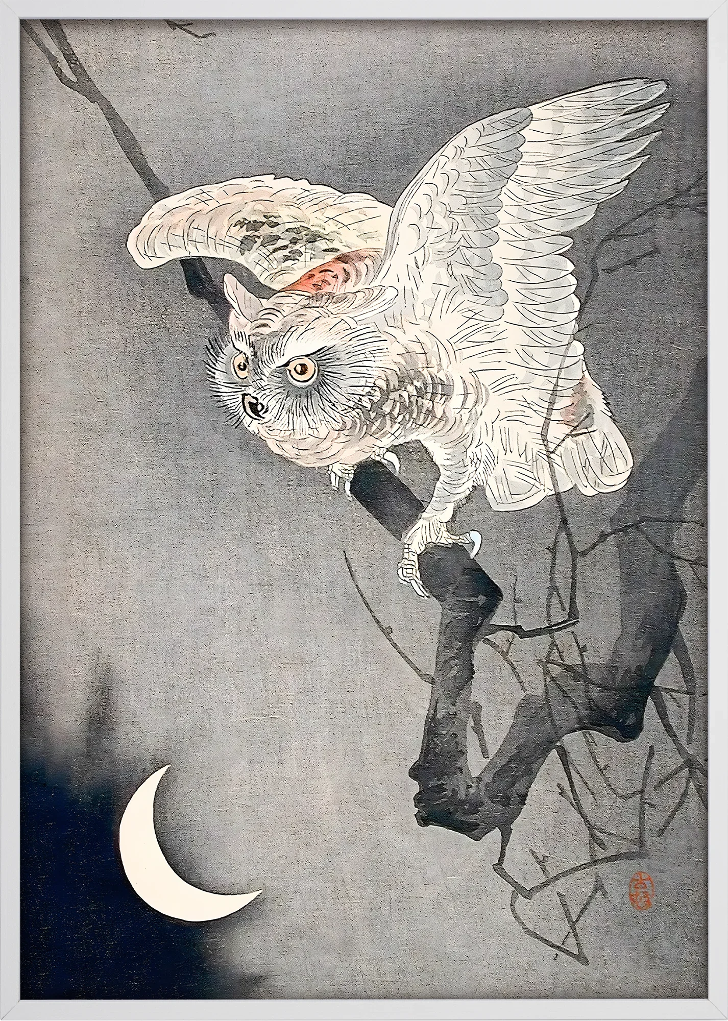 Scops Owl in Moonlight - Image 5