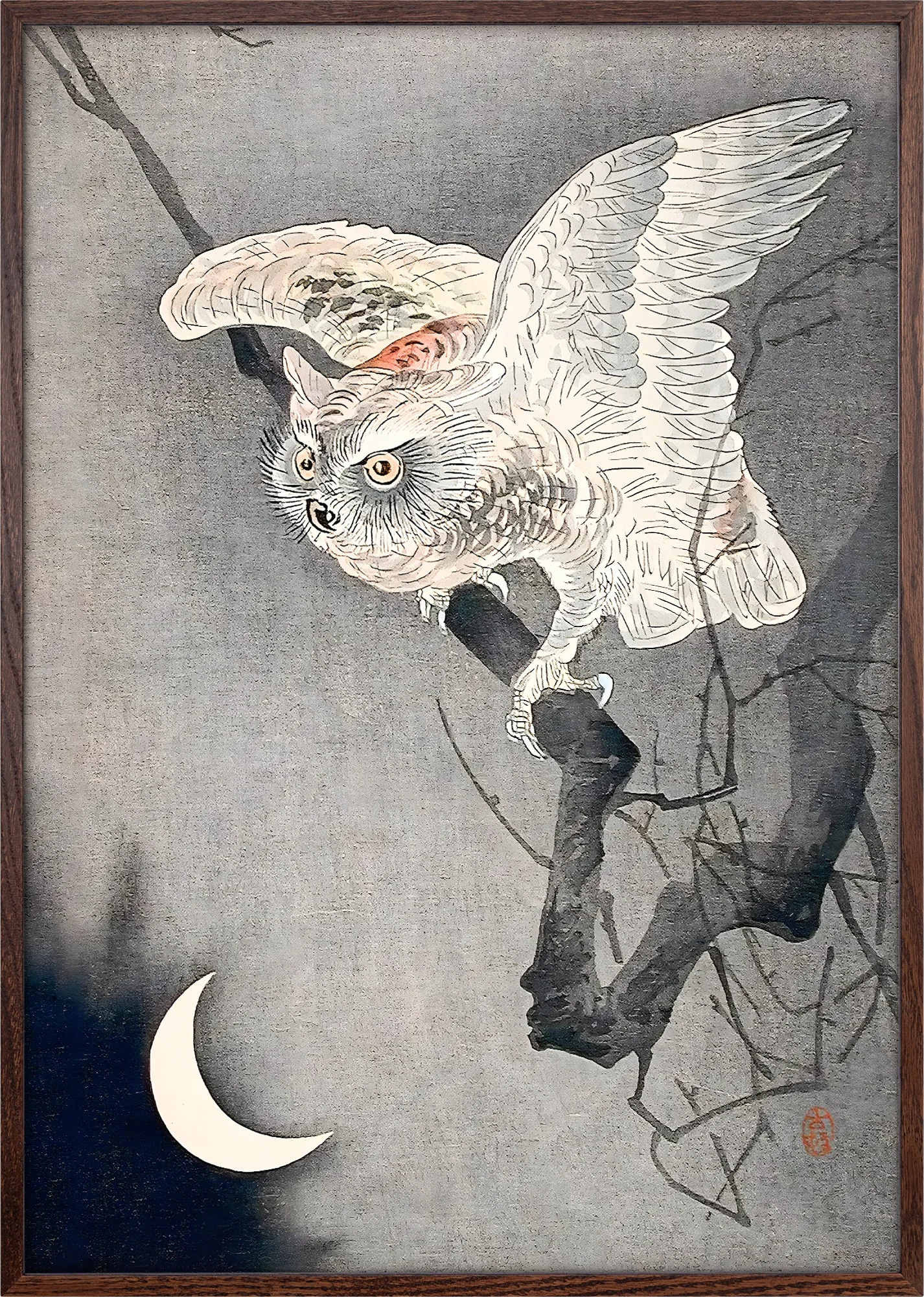 Scops Owl in Moonlight - Image 6