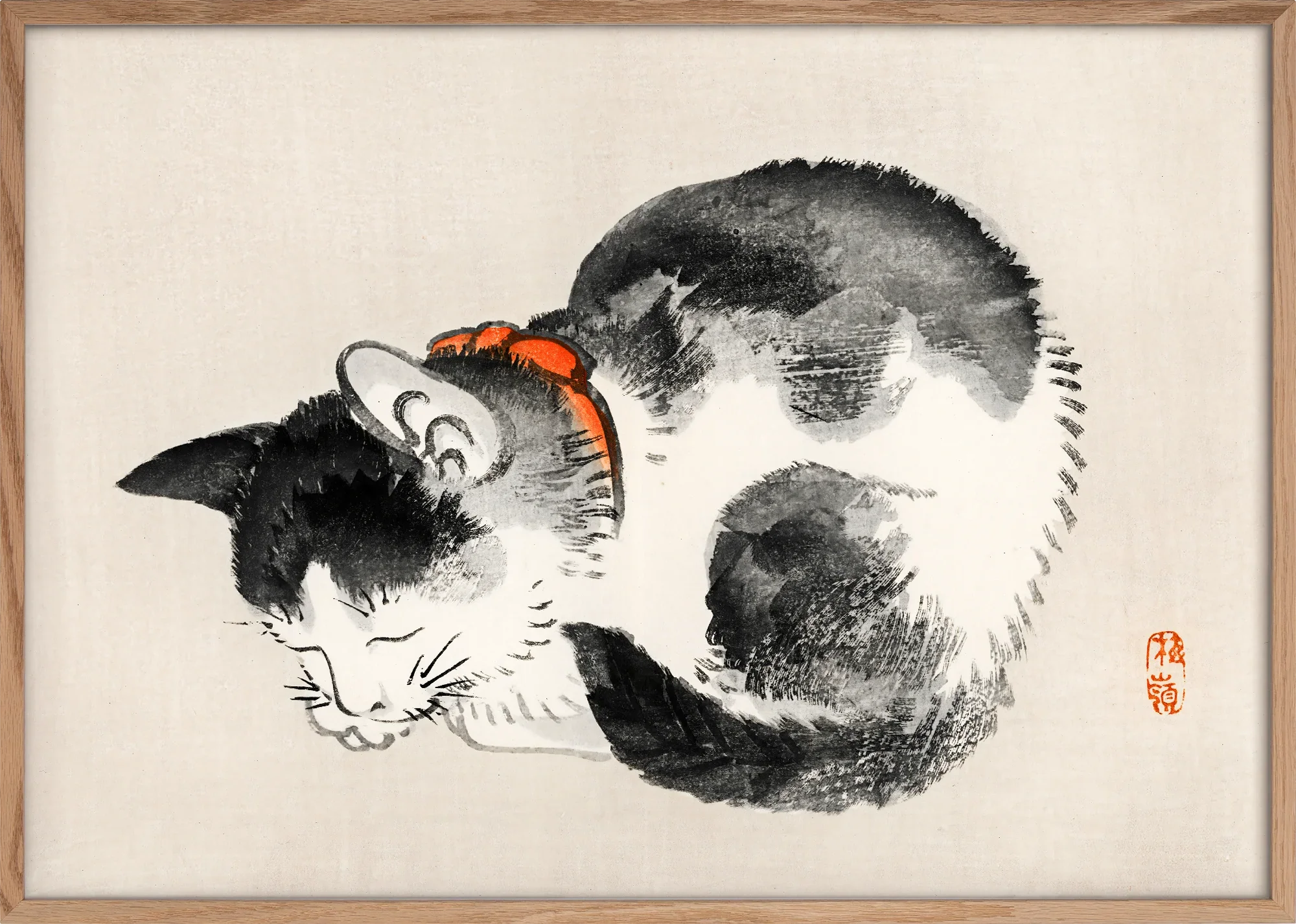 Sleeping Cat - Image 3