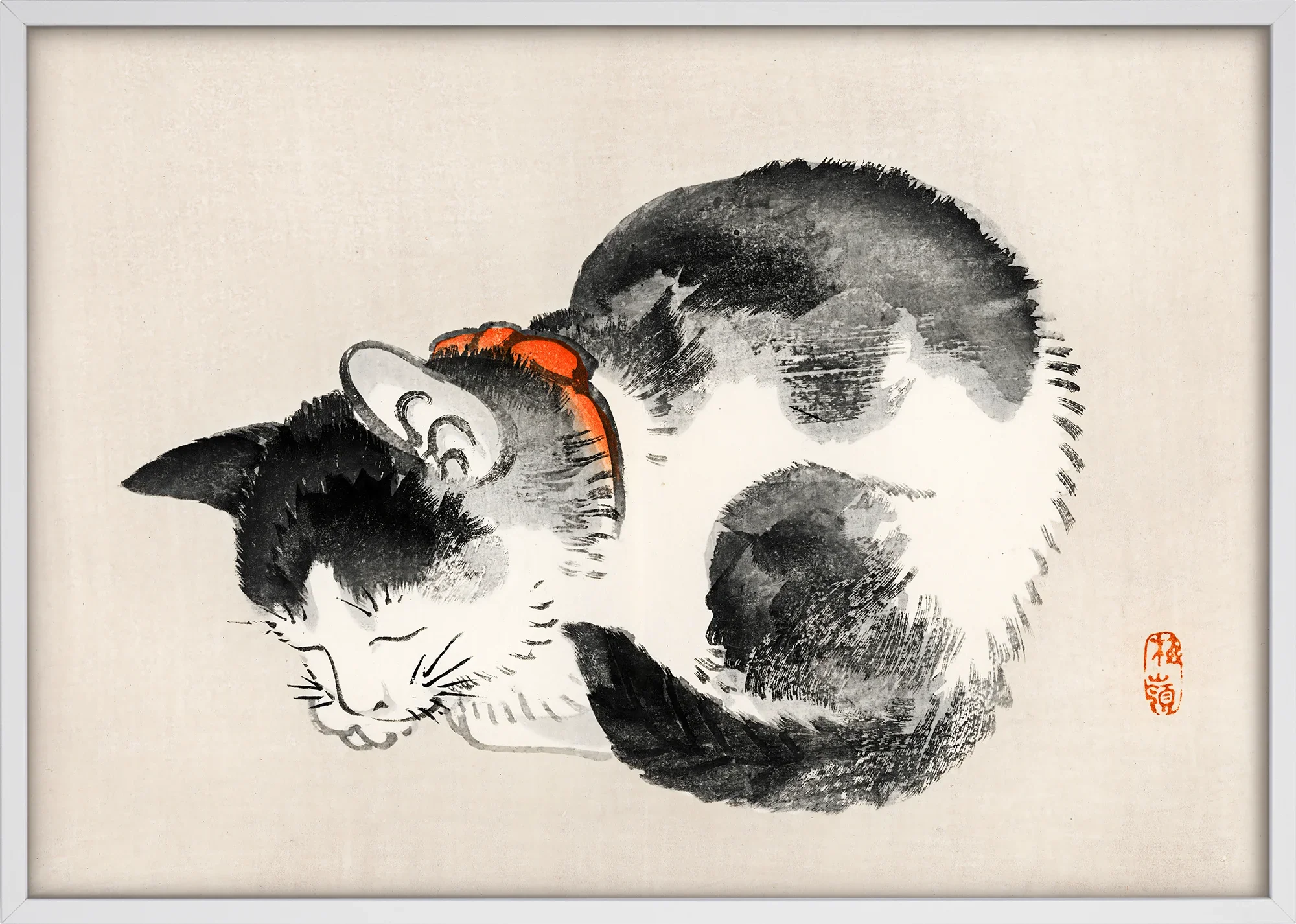 Sleeping Cat - Image 5