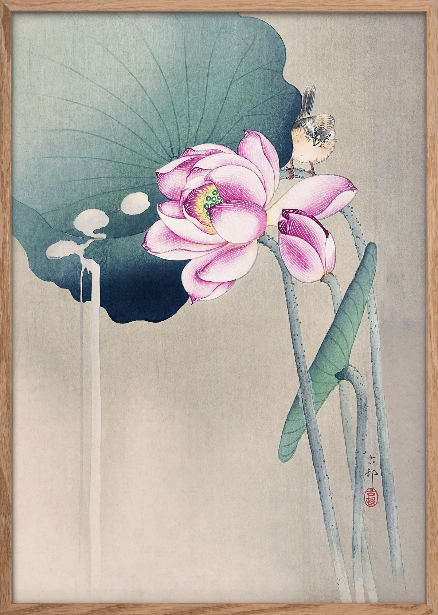 Songbird and Lotus - Image 3
