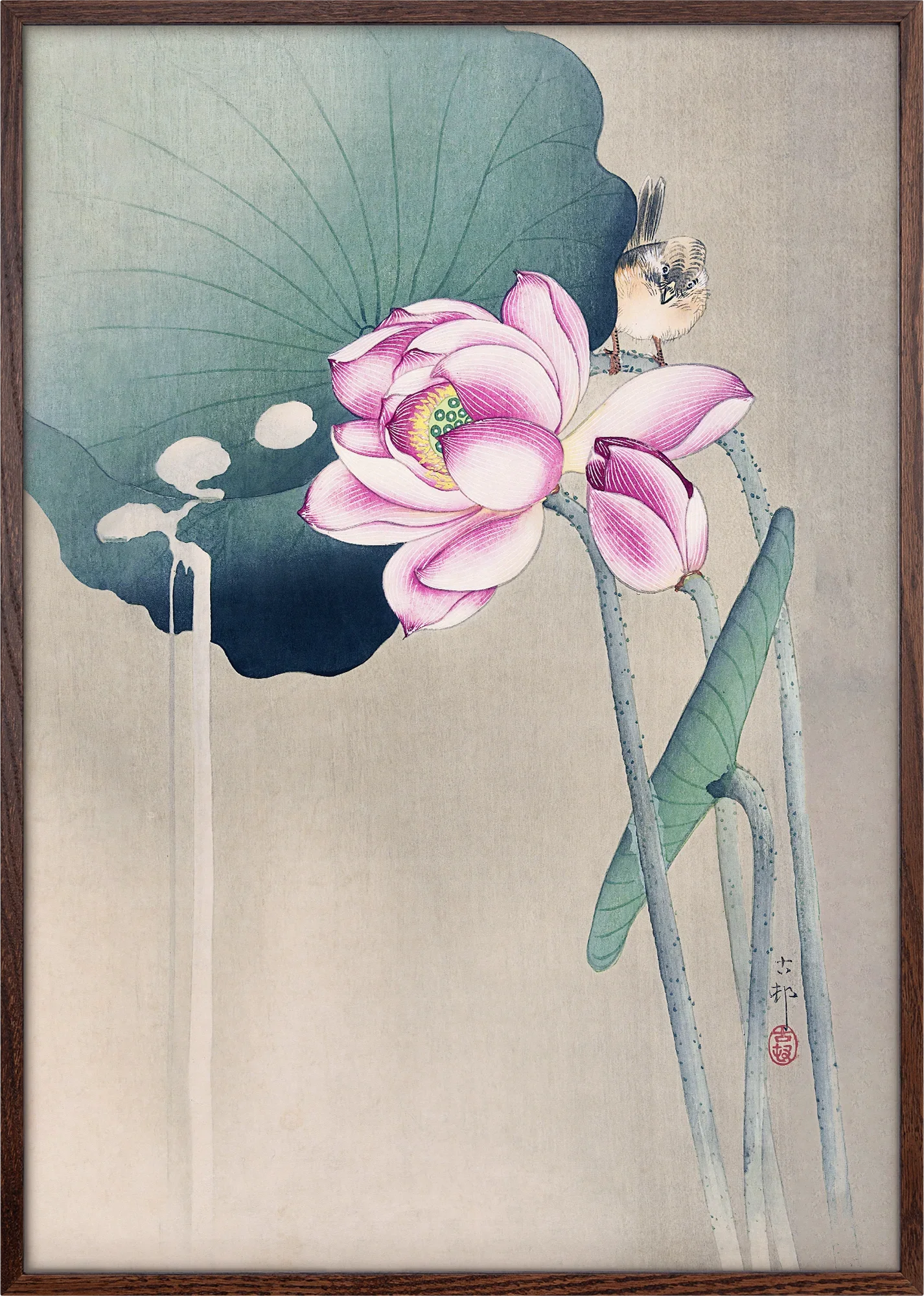 Songbird and Lotus - Image 4