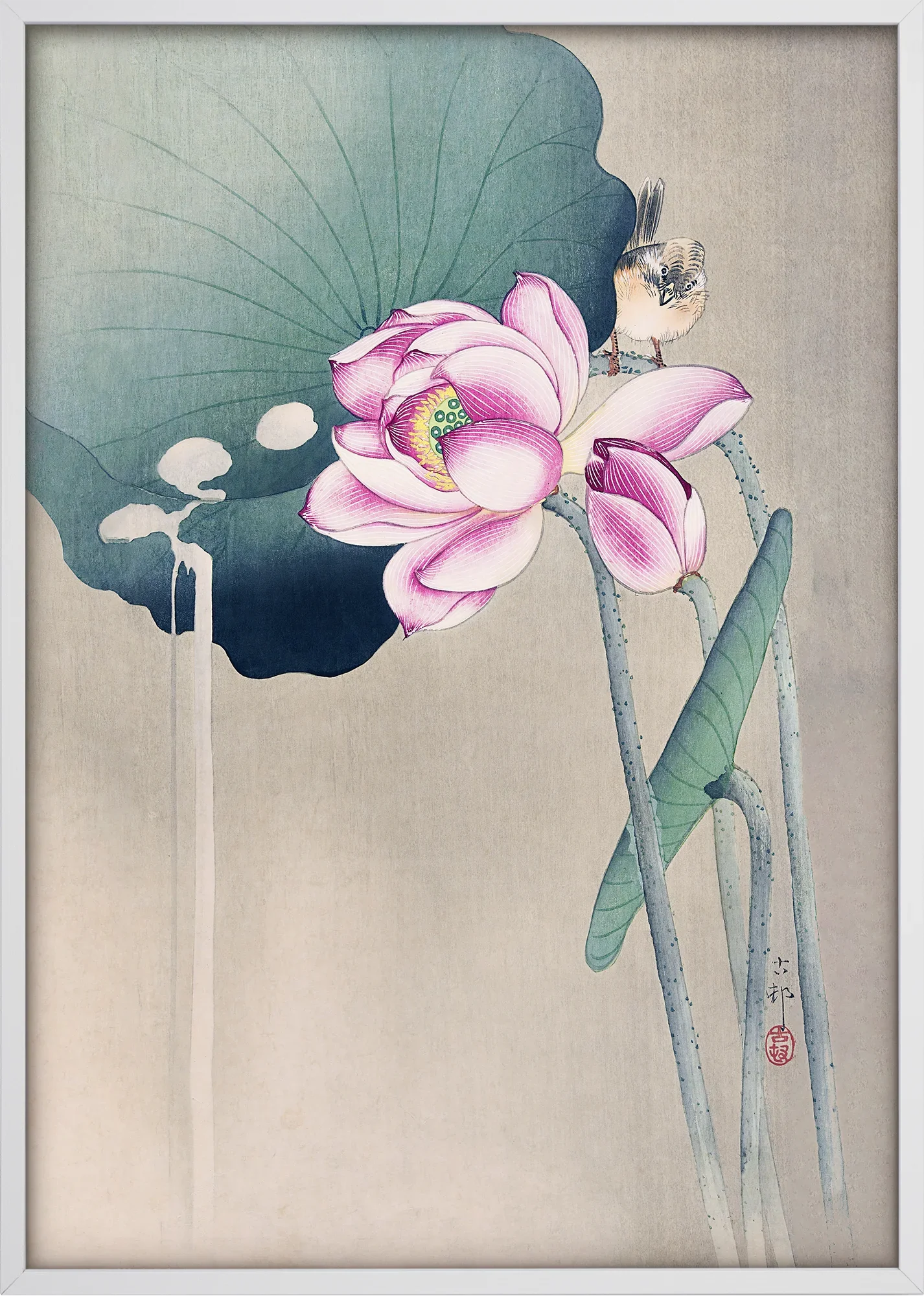 Songbird and Lotus - Image 5
