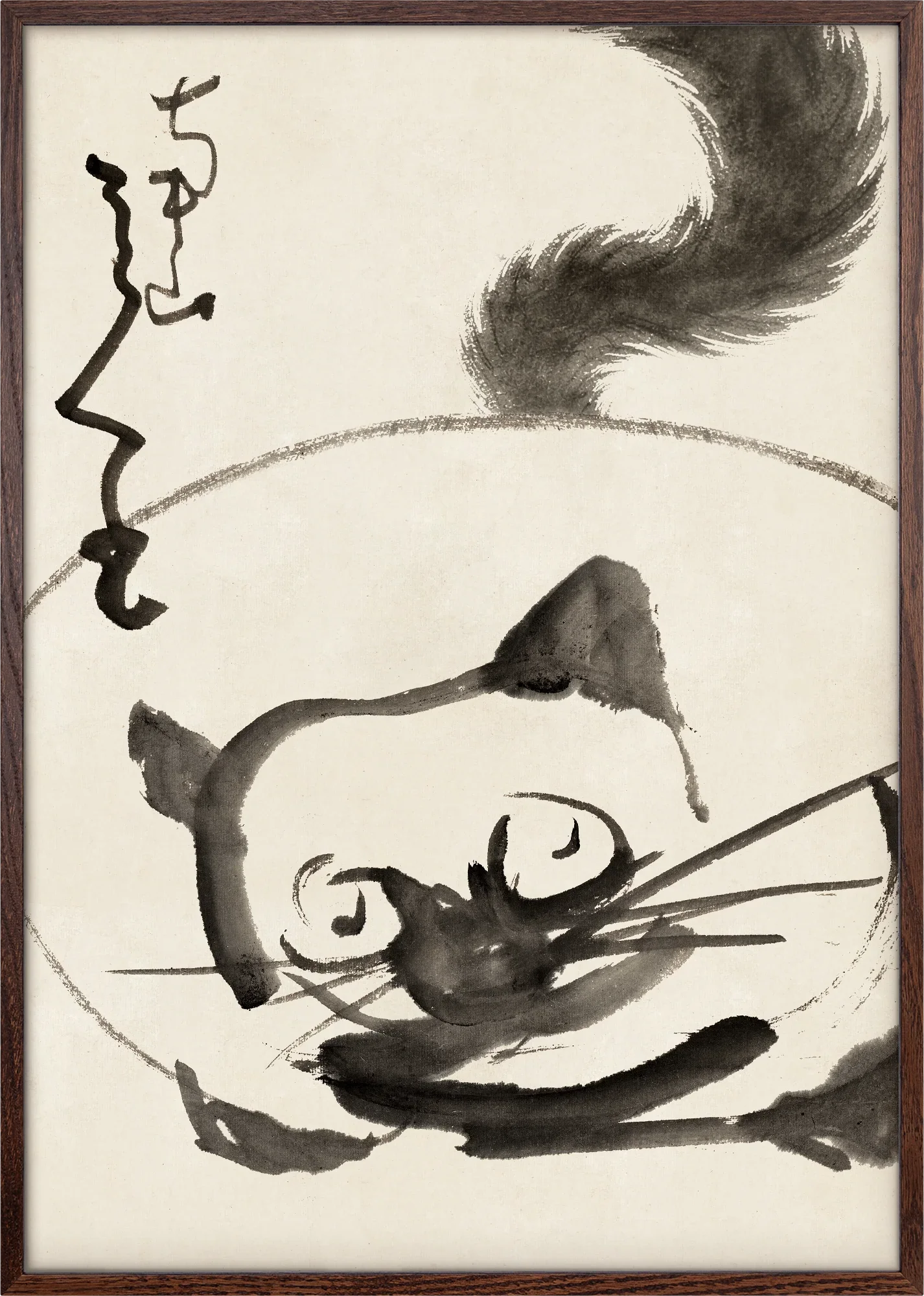 The Cat - Image 6
