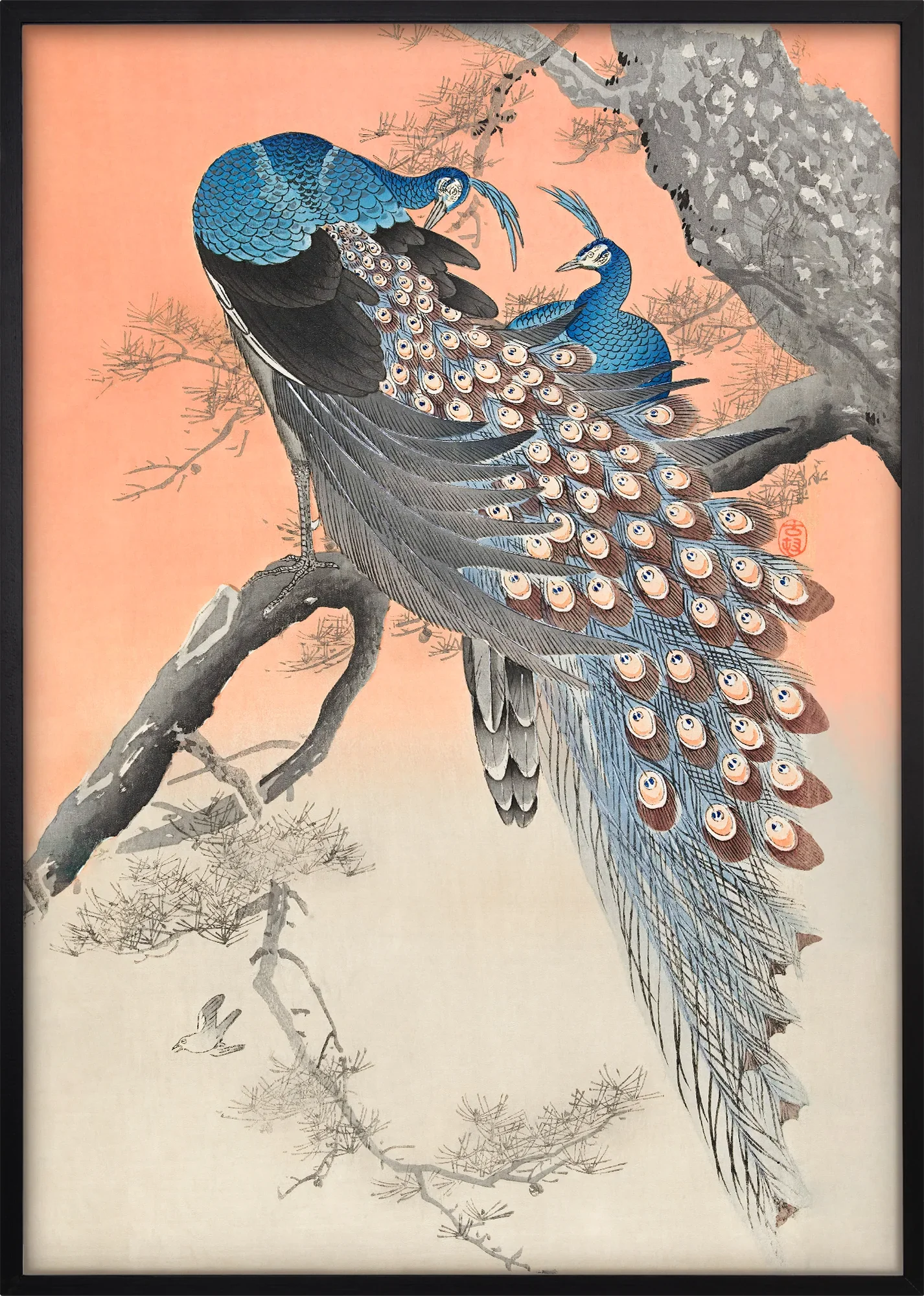 Two Peacocks on Branch