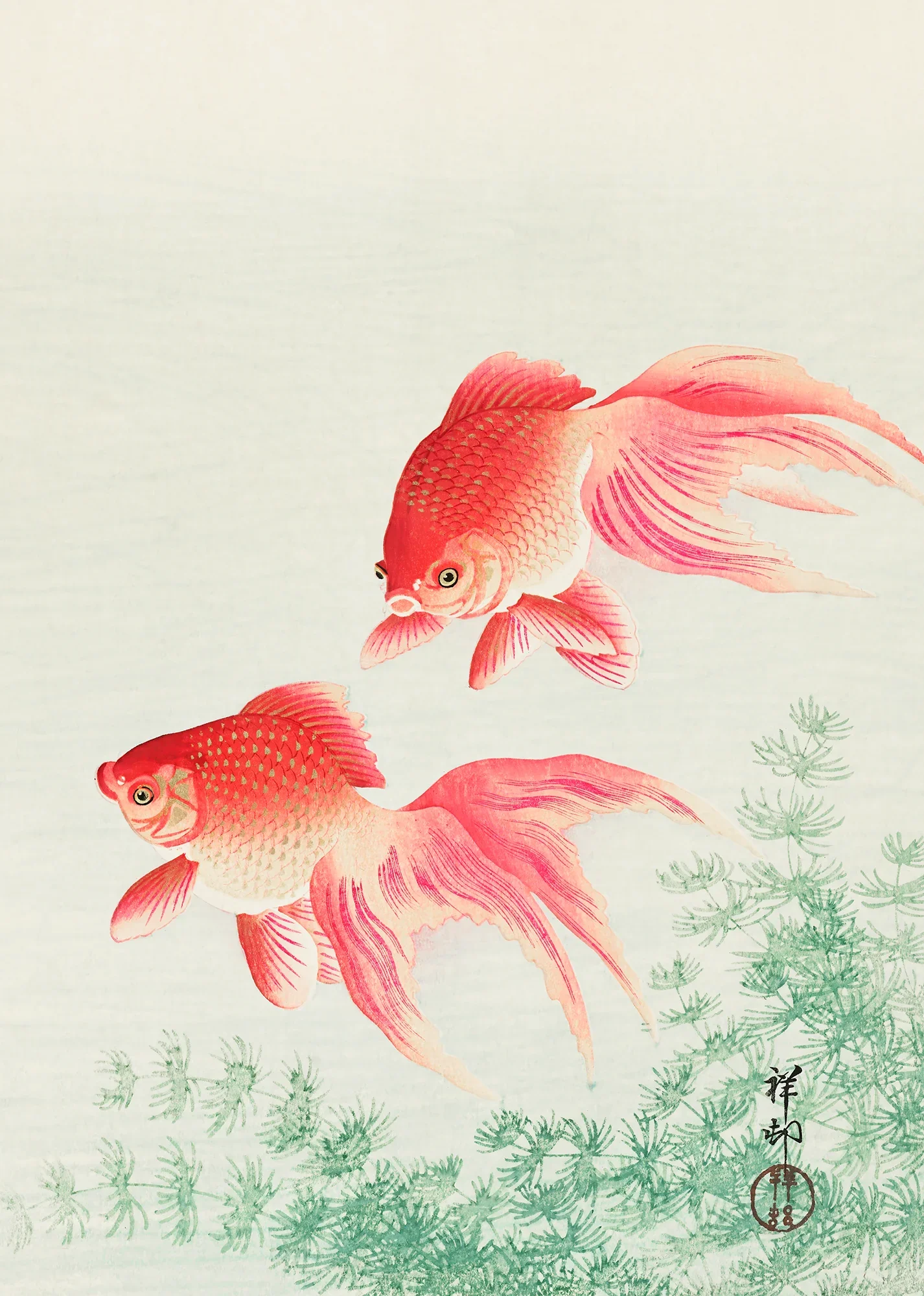 Two Veil Goldfish - Image 2