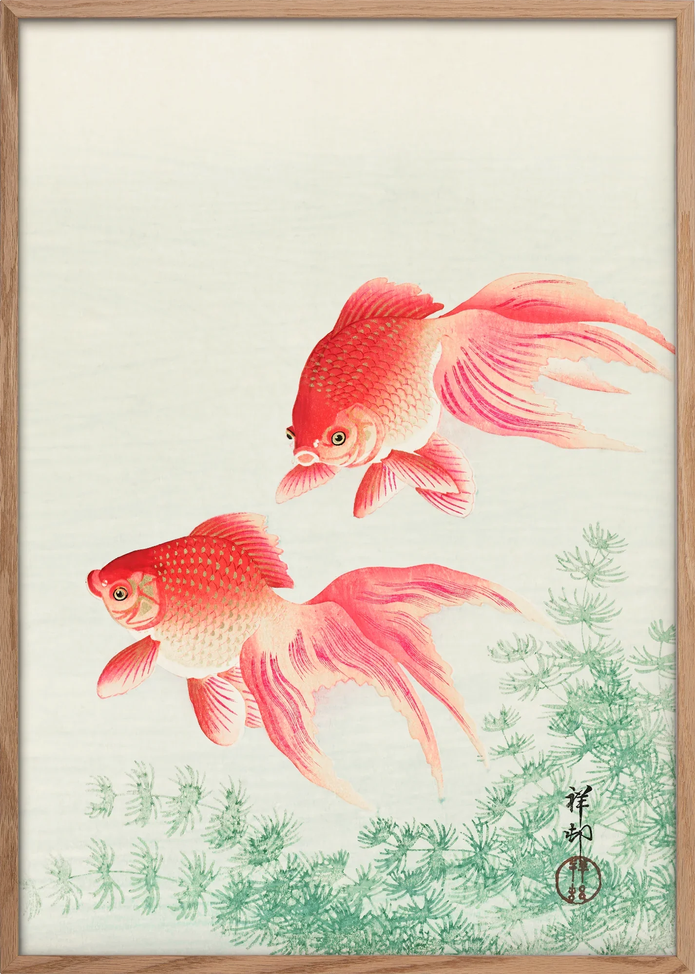 Two Veil Goldfish - Image 3