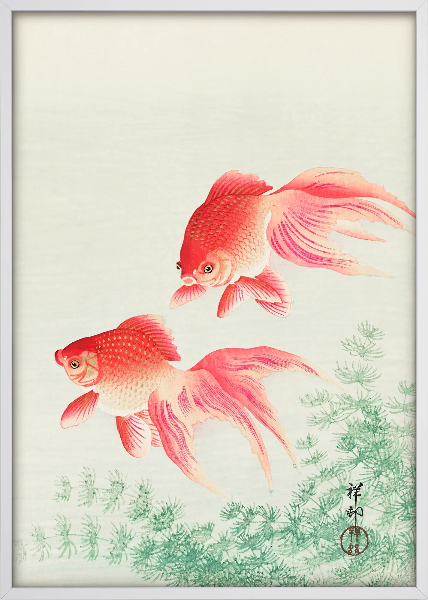 Two Veil Goldfish - Image 5