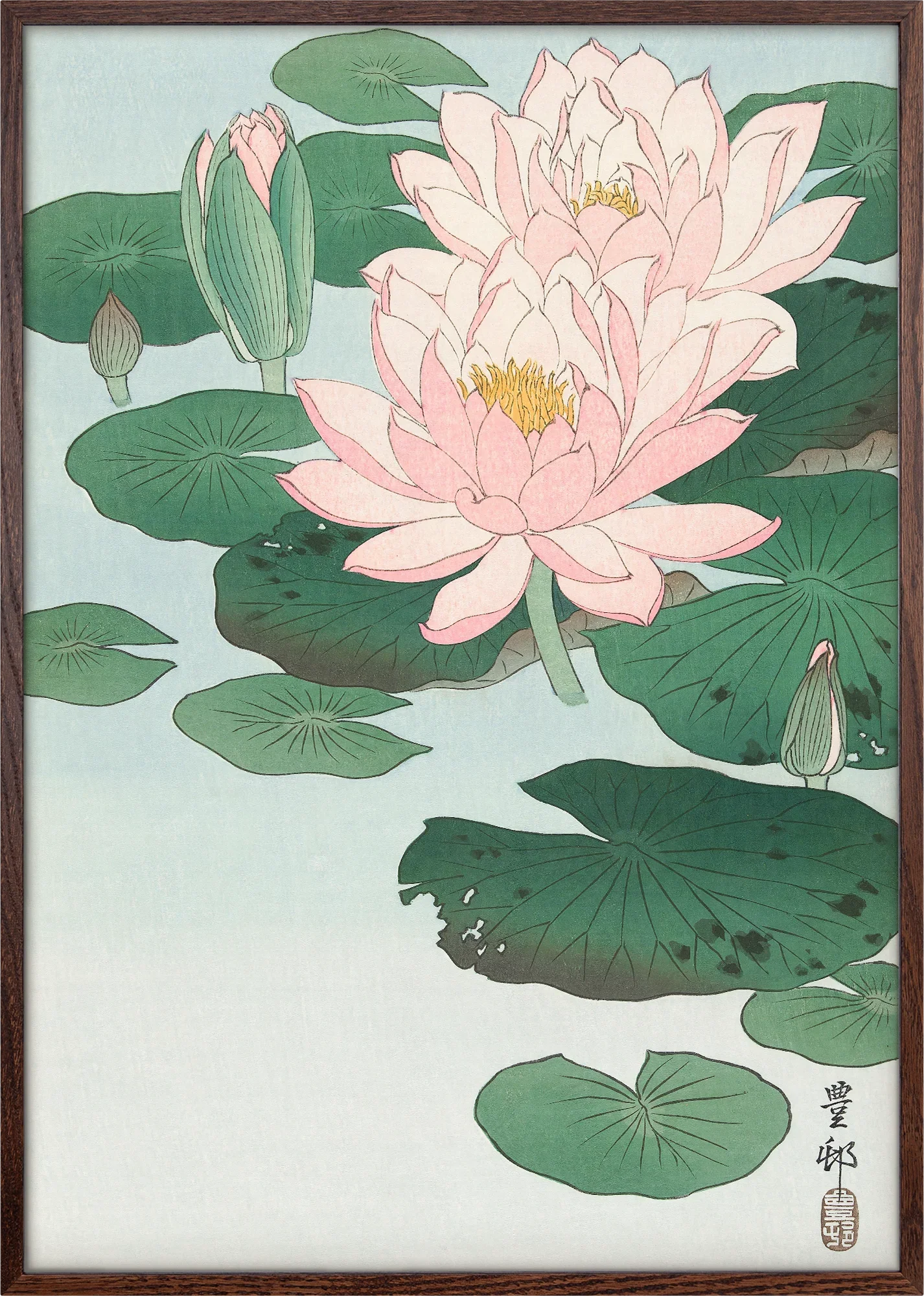 Water Lilies - Image 4