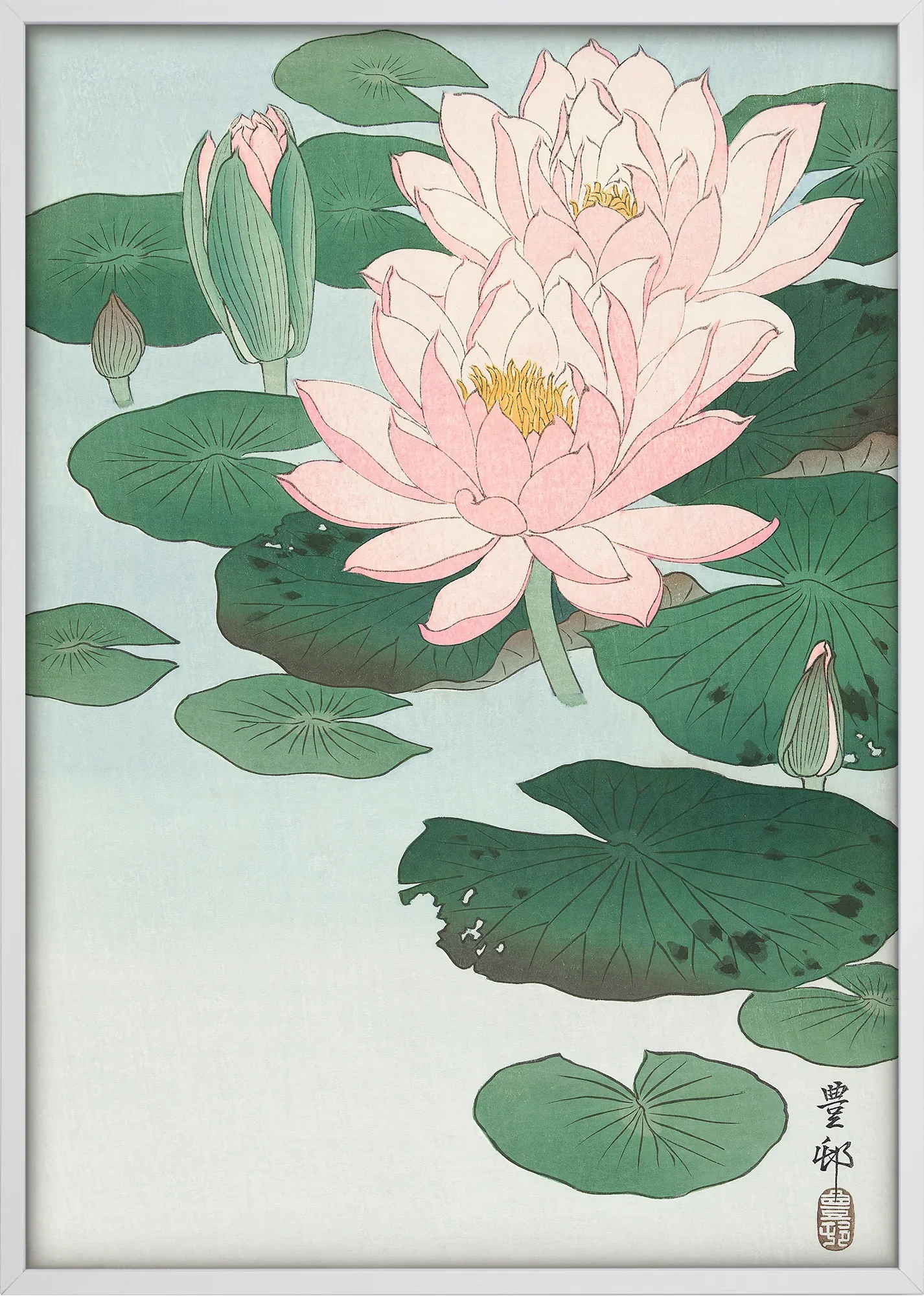 Water Lilies - Image 5